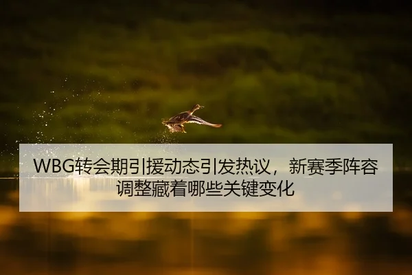 WBG转会期引援动态引发热议，新赛季阵容调整藏着哪些关键变化